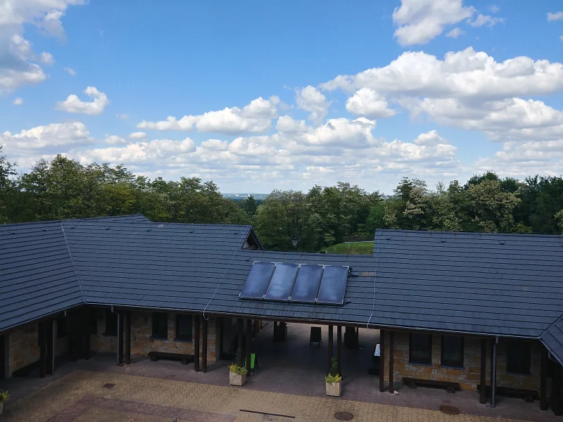 Zdjęcie miejsca Park Roślin